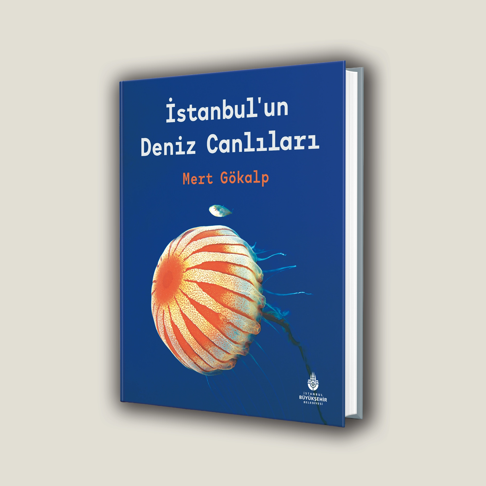İstanbul’un Deniz Canlıları
