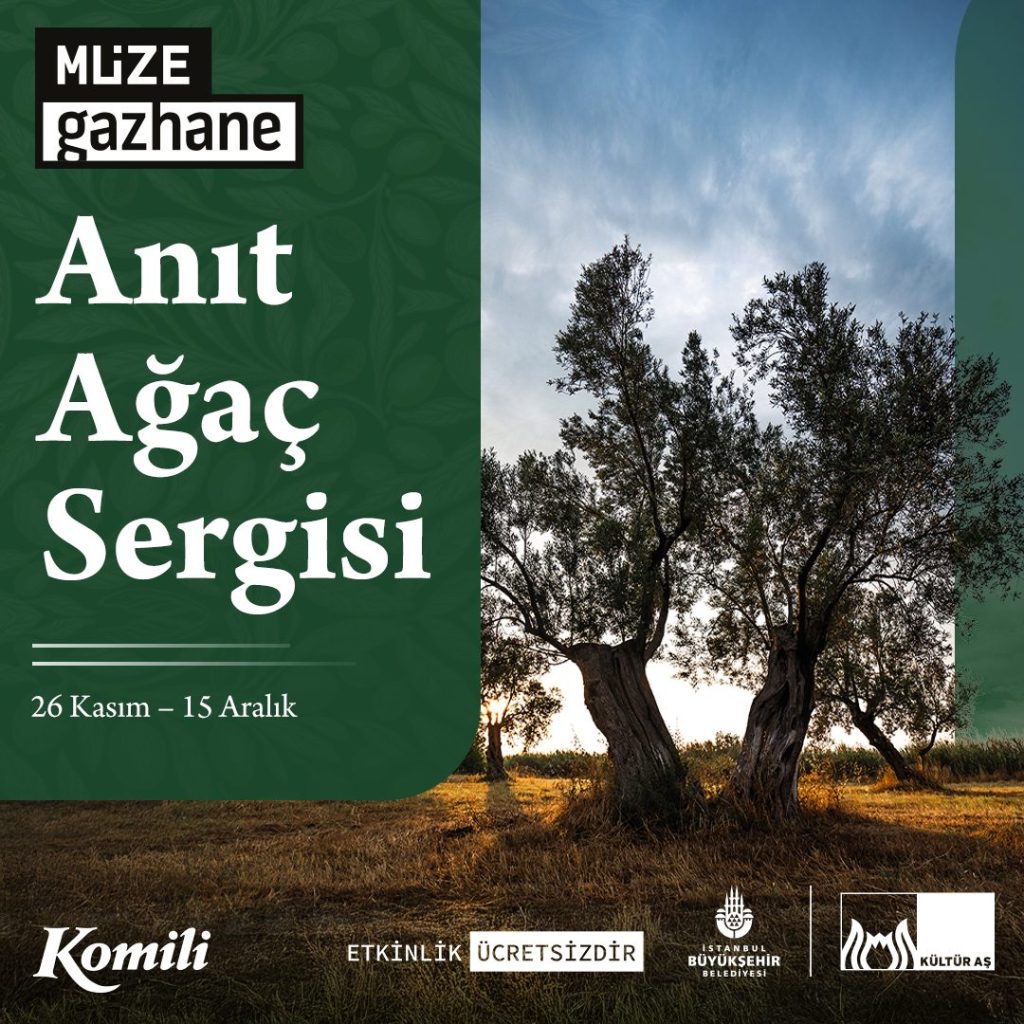 anit-agac-1.jpg
