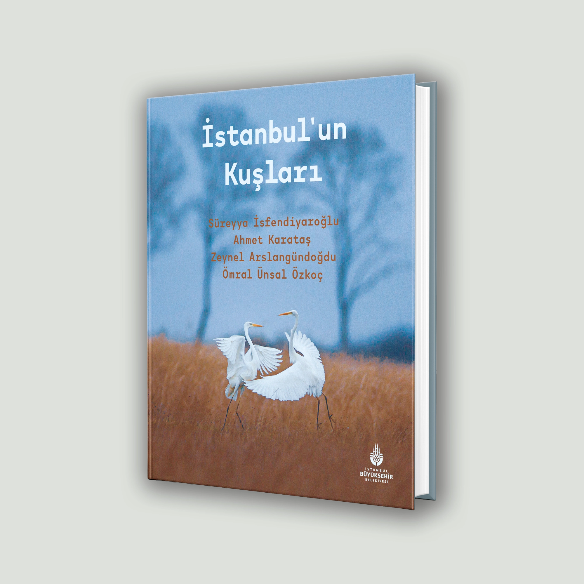 İstanbul’un Kuşları