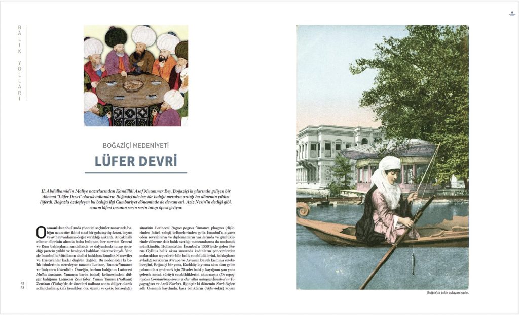 istanbul-deniz-7.jpg