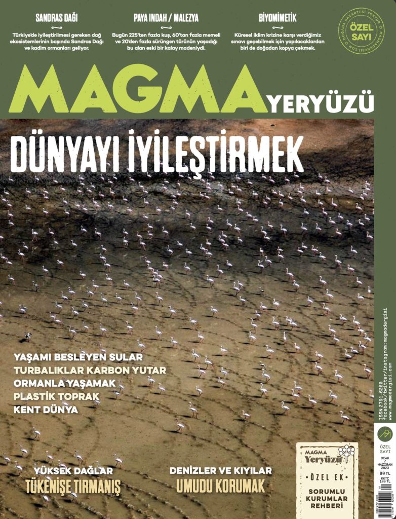 magma-yeryuzu-2.jpg