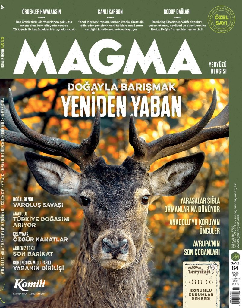magma-yeryuzu-3.jpg