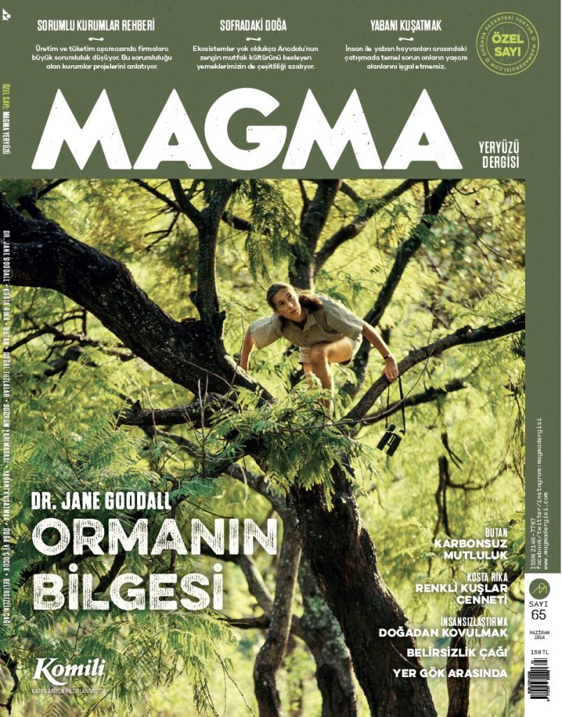 magma-yeryuzu-4.jpg
