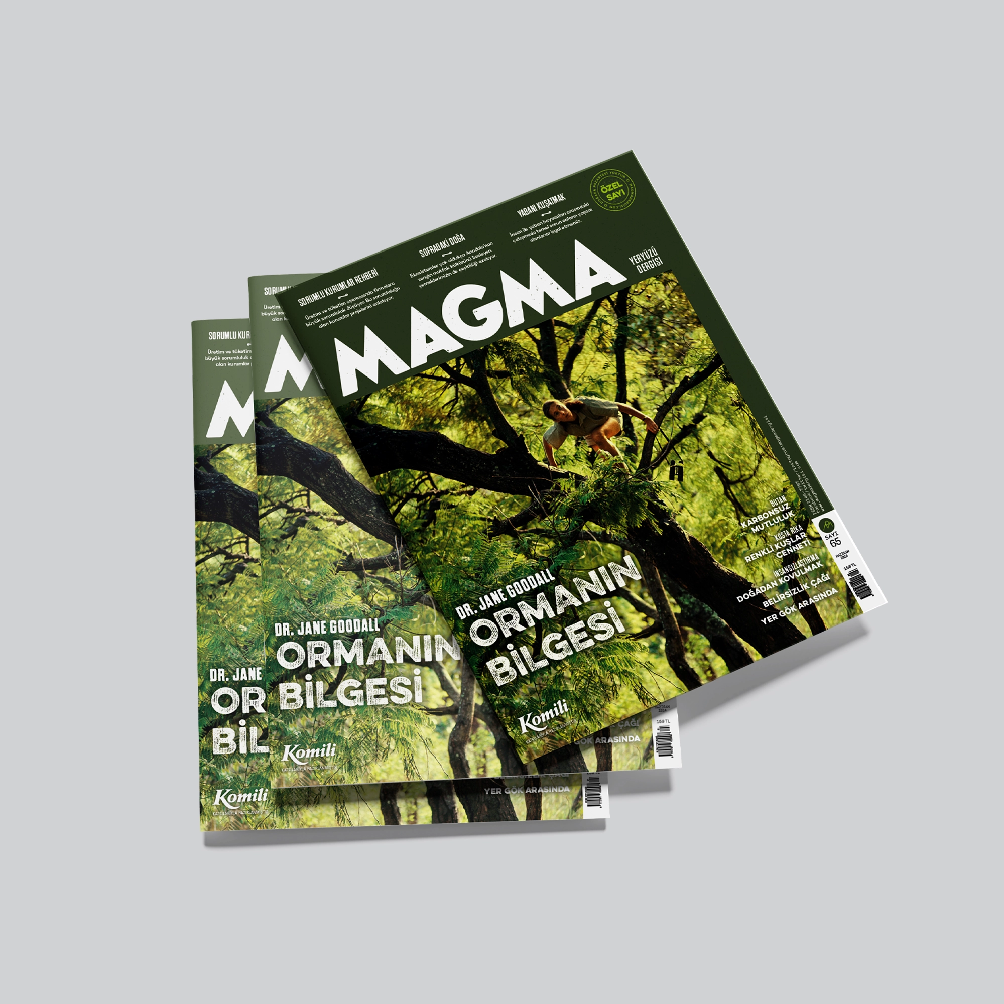 Magma Yeryüzü