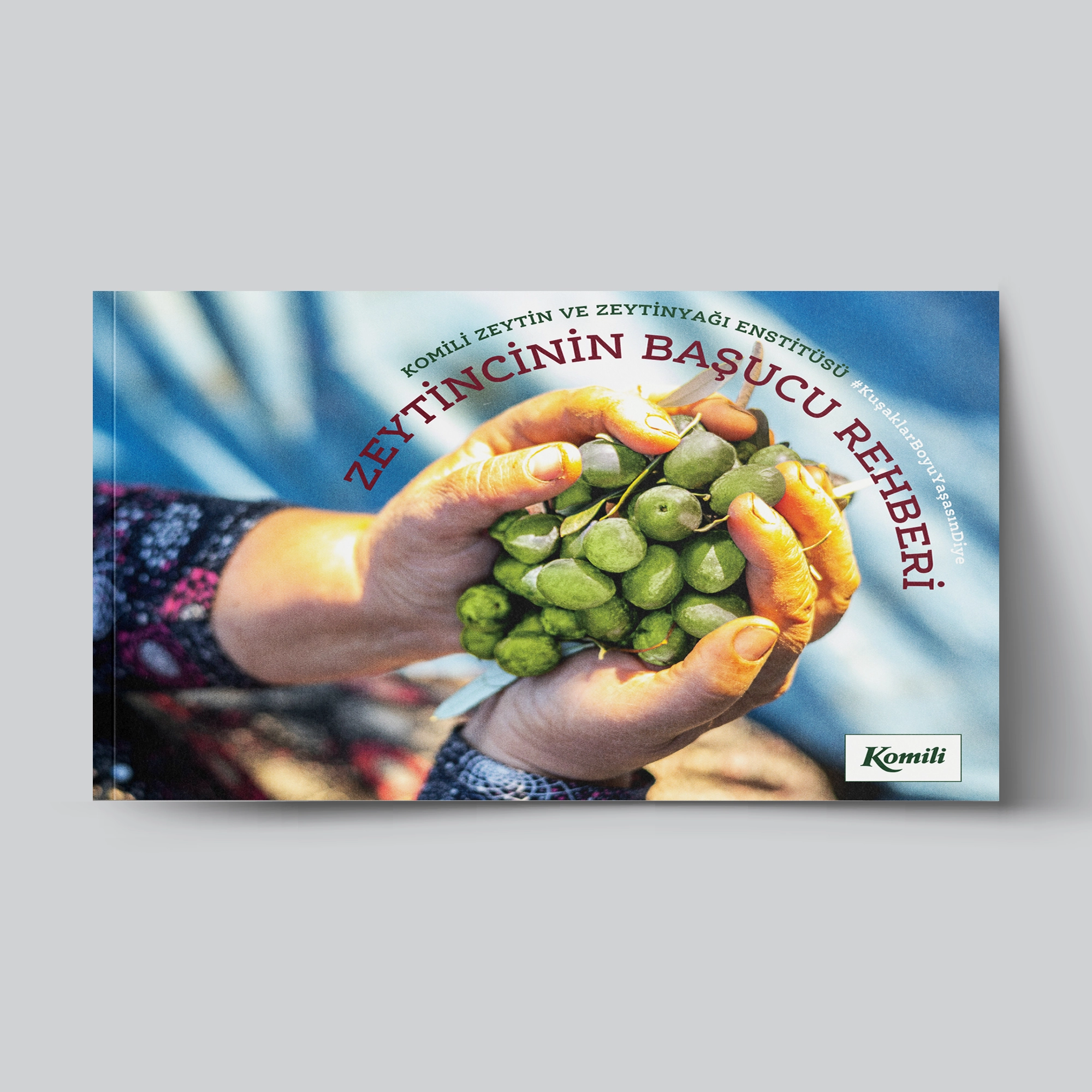 Zeytincinin Başucu Rehberi